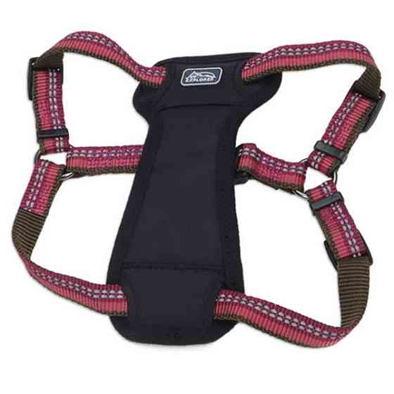 Coastal K9 Explorer Harness КОСТАЛ К9 ЭКСПЛОРЕР светоотражающая шлея с нагрудником для собак 2.3-4.5кг Киев