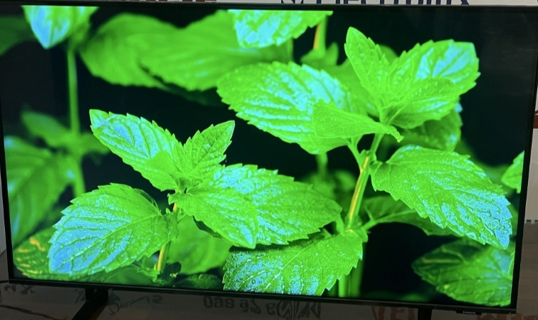 Телевизор Samsung 43