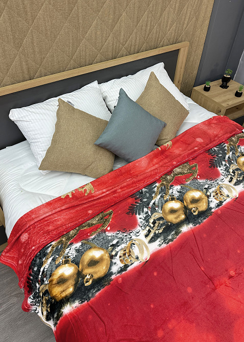 Плед-покрывало 200х230 см с рождественским принтом Разноцветный (87-325) Киев - изображение 2