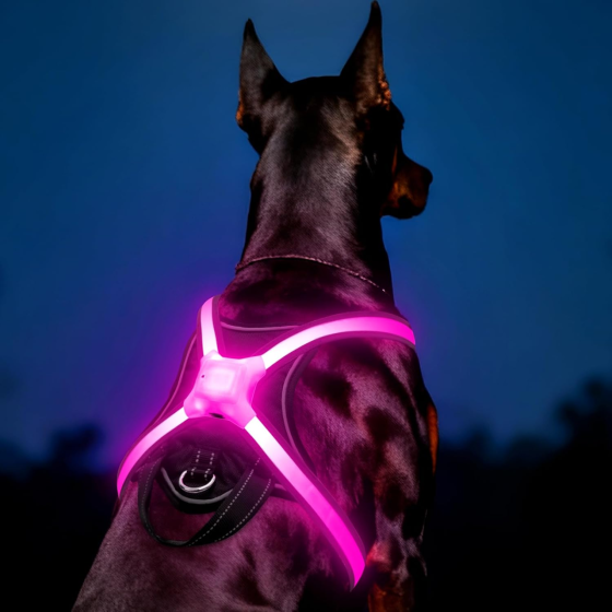 Б/У Светодиодная шлейка ChalkLit M для собак, 7 режимов, многоцветная подсветка, USB-C, ручка, черная Киев