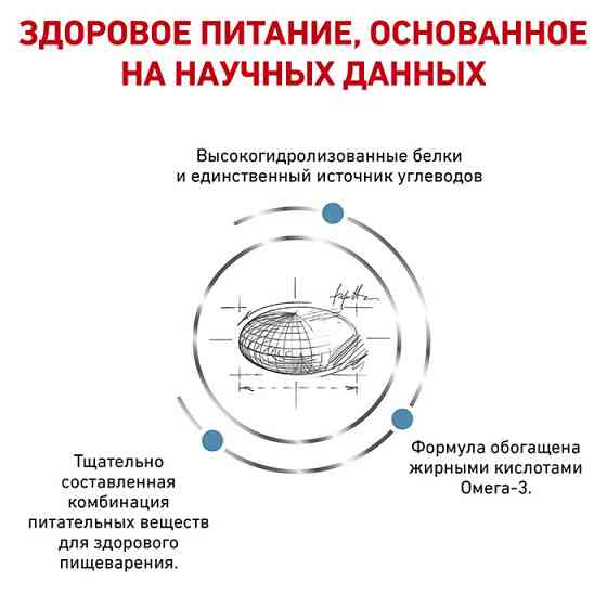 Royal Canin Hypoallergenic (Рояв Канін Гіпоалердженік) сухий корм для собак з алергичною реакцією 2 кг. Запоріжжя