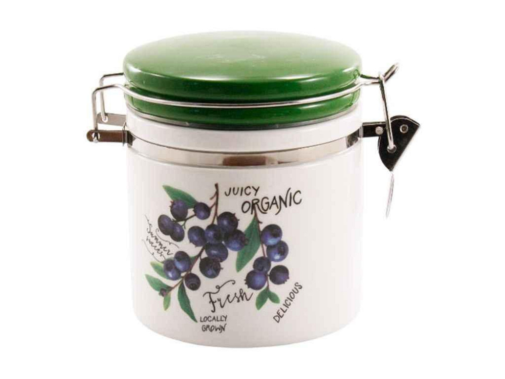Банка 500мл с замком голубика ZF1376BC ТМ GRAZIE Киев - изображение 1
