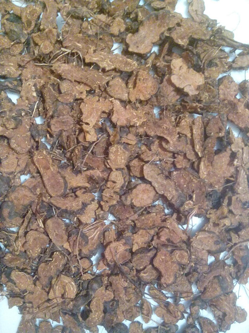 1кг., Калган / Лапчатка прямостоячая (корень резаний) MasterSEM Киев - изображение 1