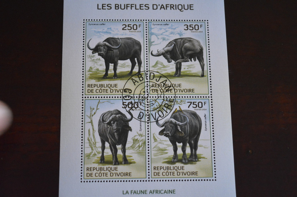 Кот Дивуар. Малый лист. 2014 год. Фауна (Б) Полтава - изображение 1