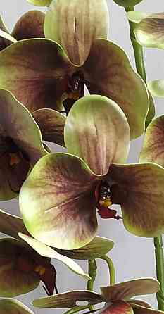 Штучна латексна орхідея VIP у коричневому керамічному кашпо на дві гілки салатово-бордова Дніпро