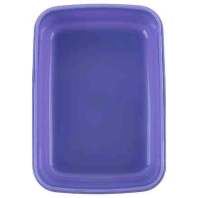 Ланч-бокс детский Kite Rachael Hale, 420 мл (R25-160) Винница