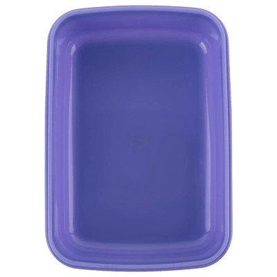 Ланч-бокс детский Kite Rachael Hale, 420 мл (R25-160) Винница - изображение 3