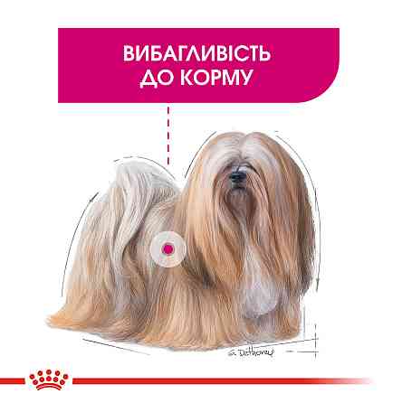 Корм для собак ROYAL CANIN MINI EXIGENT 3.0 кг – сухой корм для привередливых собак малых размеров Киев