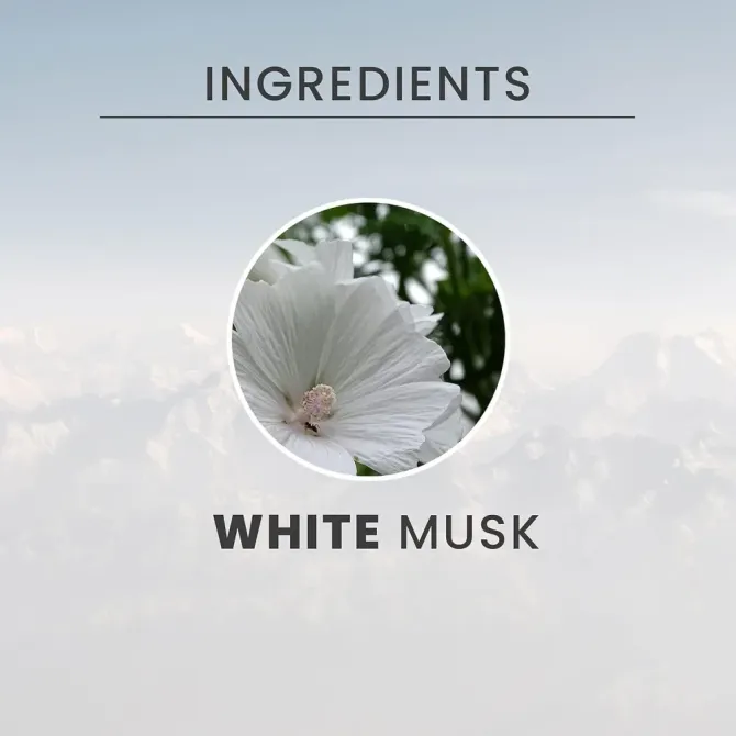 Крем-гель для душу Tesori d'Oriente White Musk (Білий Мускус), 250 мл Львів - фото 2