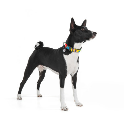 Ошейник для животных WAUDOG Nylon с QR паспортом "Рик и Морти 1" пластиковый фастекс XXL (284-0280) Винница - изображение 4