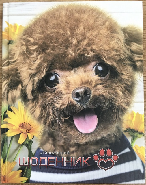 Щоденник шкільний "Мандарин" SD1704, 165*208 мм, обкладинка 7БЦ, 40аркушів, шт Київ - фото 1