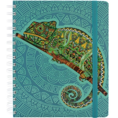 Блокнот Optima Sambala на резинке, 175х206 мм спираль, 150 листов клетка с полями (O20849-04) Винница - изображение 1