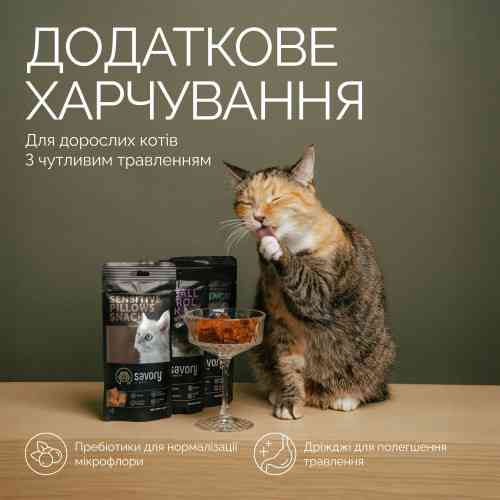 Хрумкі ласощі Savory Cats Snacks Pillows Sensitive для дорослих котів з чутливим травленням, 60 г Київ