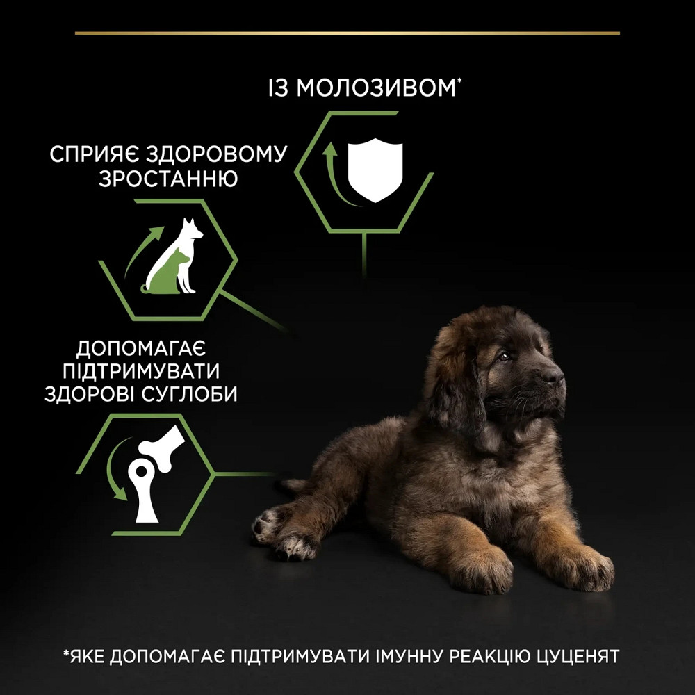 Сухой корм PRO PLAN Large Robust Puppy  Киев - изображение 7