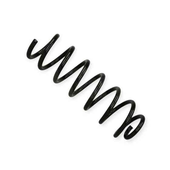 Пружина задняя автомобиль Рено Grand Scenic III 09- Мукачево