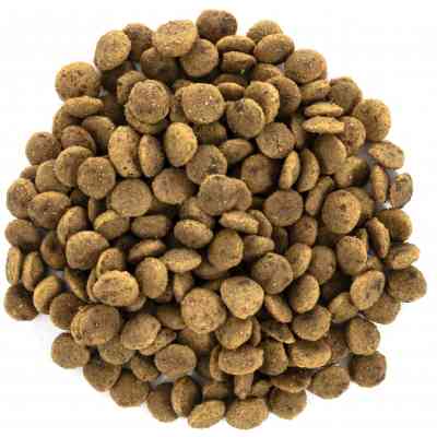 Сухой корм для кошек Brit Care Cat GF Large cats Power and Vitality 7 кг (8595602540907) Винница