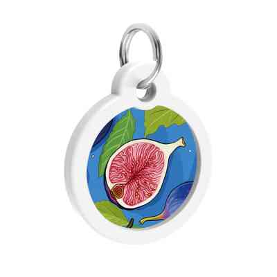 Адресник для животных WAUDOG Smart ID с QR паспортом "Инжир", круг 30 мм (230-4053) Винница