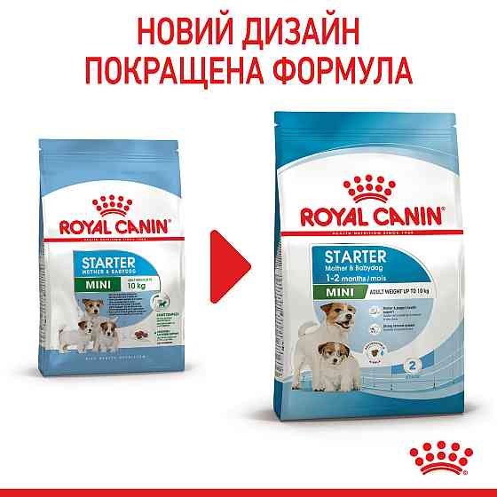 Royal Canin Mini Starter (Рояв Канін Міні Стартер Мазер Бебідог) корм для вагітних і годують собак до 10 кілограмів 8.5 кг. Запоріжжя