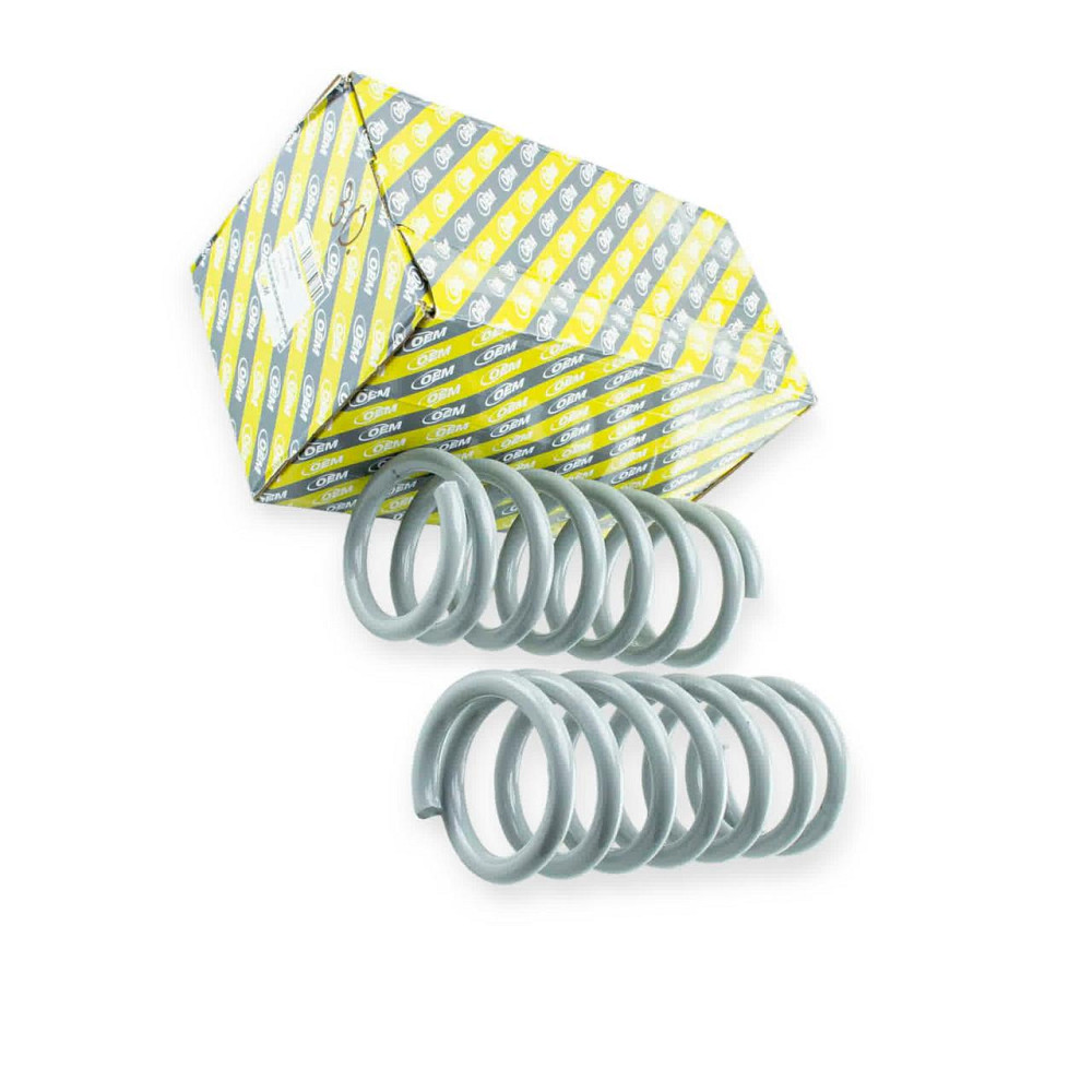 Пружина задньої підвіски 2121 (к-кт 2 шт) Мукачево - фото 1