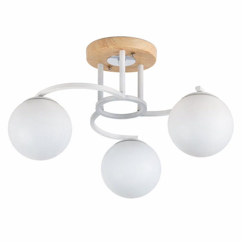 5186-3 Коломыя - изображение 2