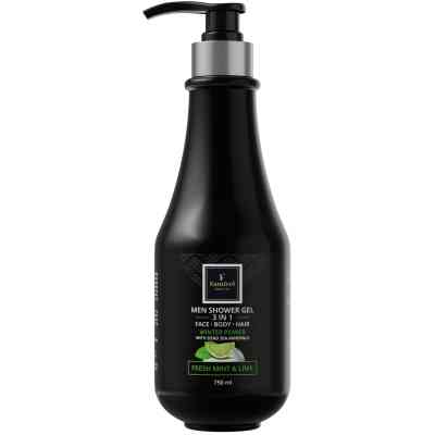 Гель для душа Famirel Для мужчин 3 в 1 Зимняя сила с мятой и лаймом 750 мл (7290114085144) Винница