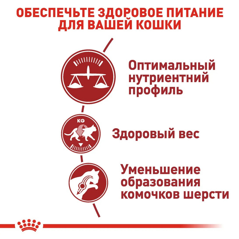Роуал Canin FIT 32 (Рояв Канін Фіт 32) сухий корм для дорослих котів віком від 12 місяців до 7 років 4 кг. Запоріжжя - фото 3