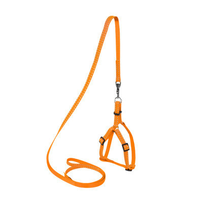 Шлей для собак Dog Extreme из нейлона регулируемая с поводком Ш 14 мм Д 115 см оранжевая (07034) Винница - изображение 2