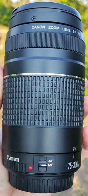 Об'єктив: Canon 75-300 1:4-5.6 III. Харків - фото 2