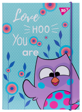 Папка для зошитів на гумці В5 