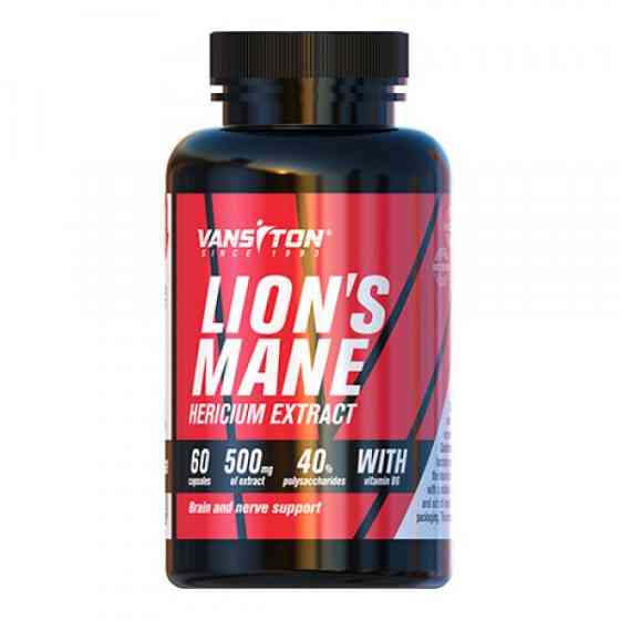 Lion’s Mane Hericium extract 500 mg + Vitamin B6 №60 Луцьк