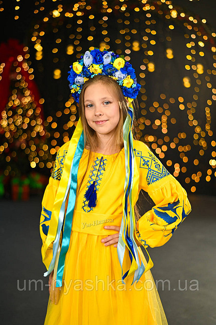 Дитяча вишита сукня з ластівками Кривий Ріг - фото 5