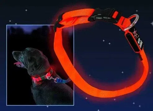 Нашийник для собак з LED підсвіткою (товар з вітрини) Луцк