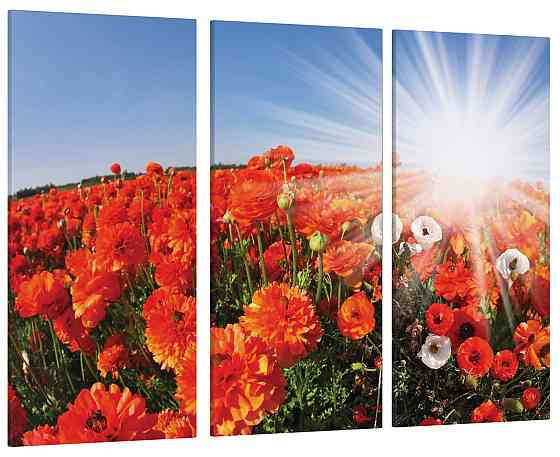 Модульна картина Полі Маки Art-19_XXL Київ