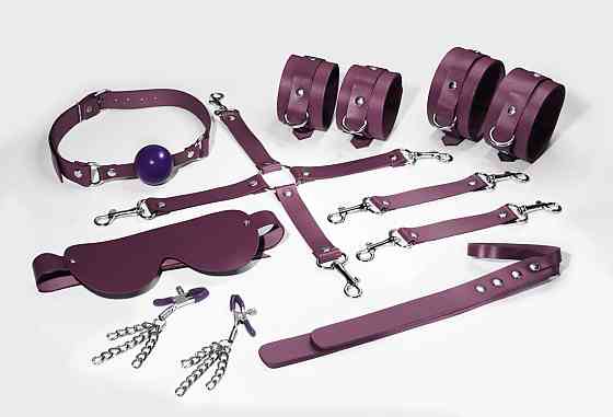 Набір Feral Feelings BDSM Kit 7 Burgundy, наручники, поножі, конектор, маска, падл, кляп, затискачі Sex Aura Київ