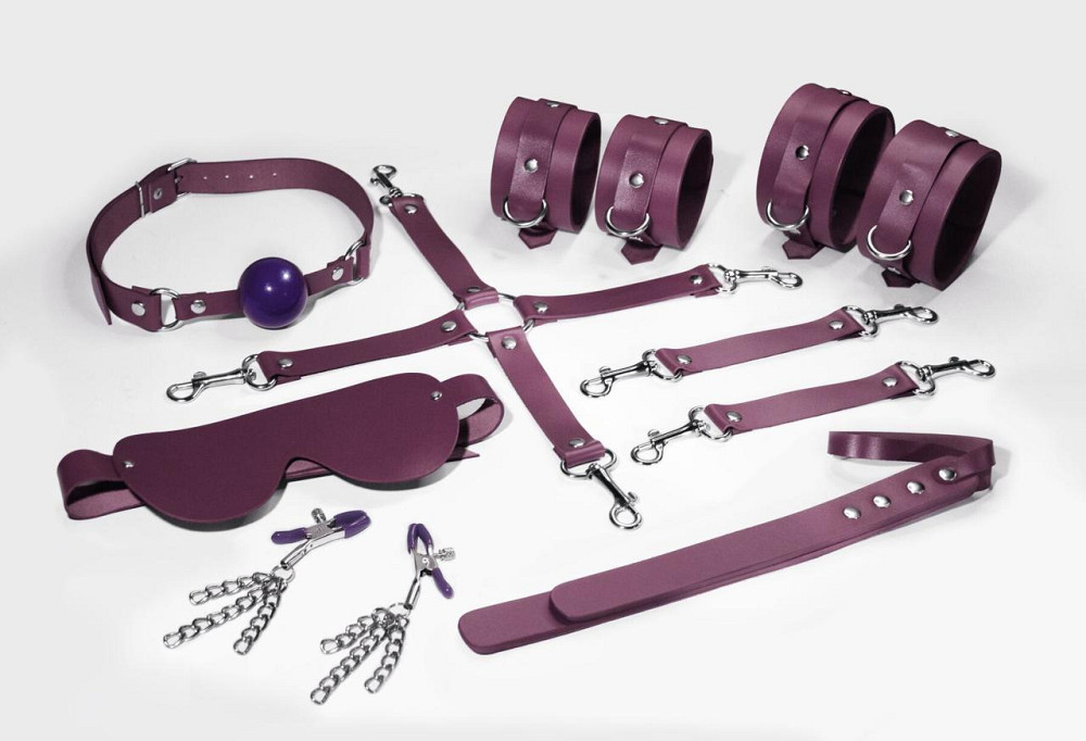 Набір Feral Feelings BDSM Kit 7 Burgundy, наручники, поножі, конектор, маска, падл, кляп, затискачі Sex Aura Київ - фото 1
