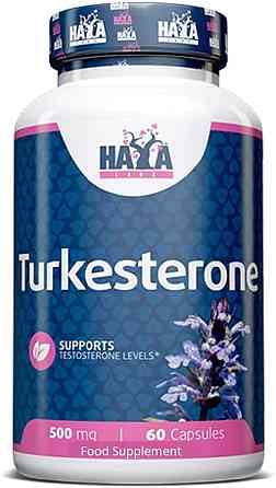 Туркестерон Haya Labs Turkesterone 500mg 60 caps Луцьк