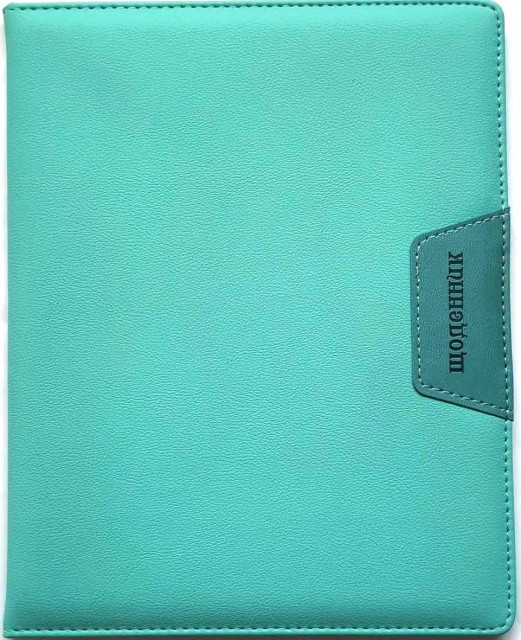 Щоденник шкільний "Мандарин" 167*211 мм, 48 арк. обкладинка шкірзам, SD1474, шт Київ - фото 1