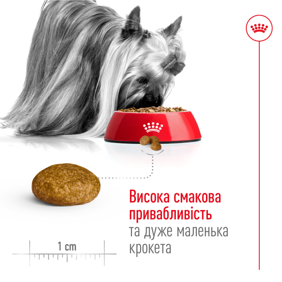 Корм для взрослых собак ROYAL CANIN XSMALL ADULT 8+(возраст от 8 лет) 3 кг Киев