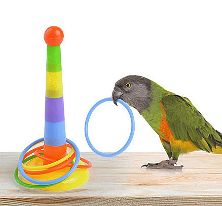 Игрушка для попугая Кольцеброс Киев - изображение 1