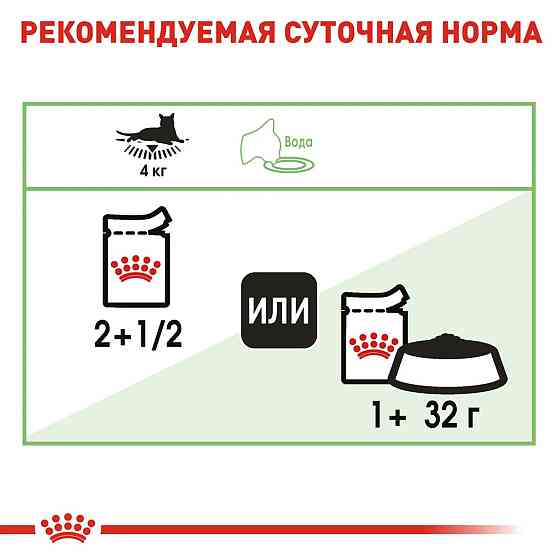 Royal Canin Digest Sensitive Gravy (Роял Канін) вологий корм для кішок для шлунку 85 г х 12 шт Запоріжжя