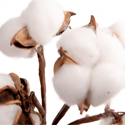 Декоративная ветвь YES! Fun Хлопок 5 шт Пучок 24 см (974816) Винница - изображение 2