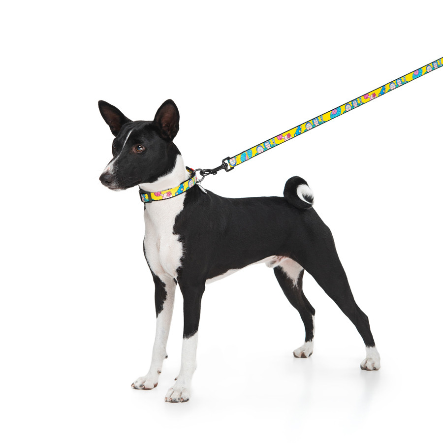 Повідець для собак нейлоновий WAUDOG Nylon, малюнок "Рік та Морті 1", L-XXL, Ш 25 мм, Дл 122 см Коломия - фото 2