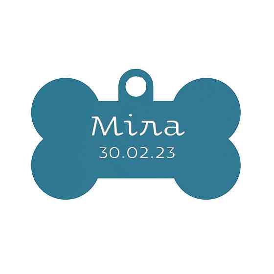 Адресник для собаки Blue 50x35мм Київ