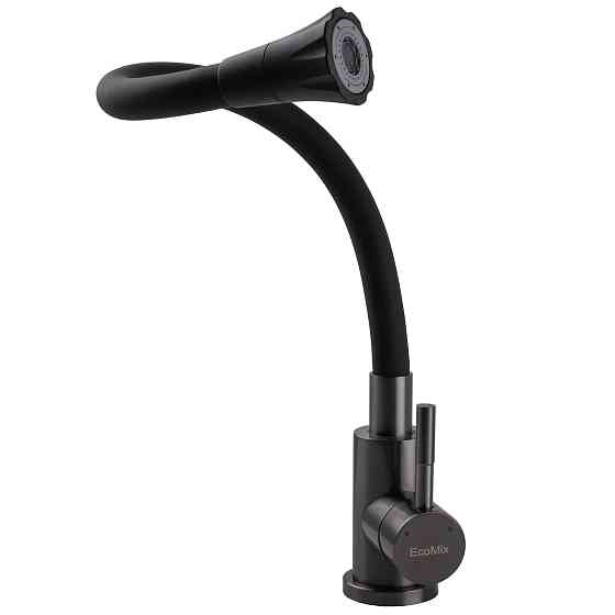 Змішувач для кухні EcoMIX Stella STE-203SA-GP-B01 Киев