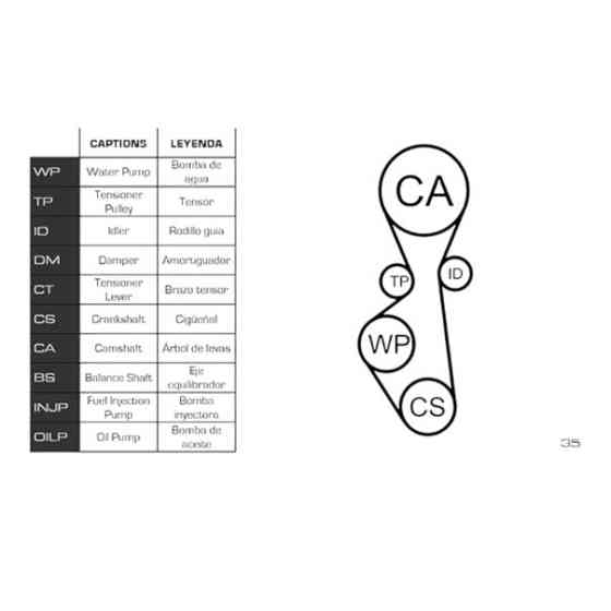 Ремкомплект Fiat Scudo-Peugeot Expert 2.0HDI 10- (ремінь, ролики, помпа) - ГРМ Мукачево