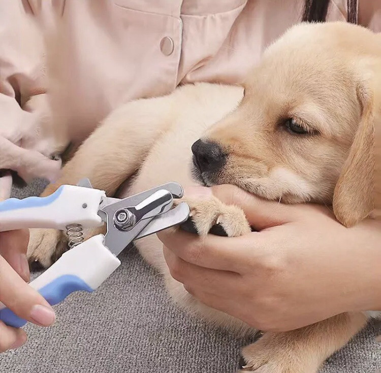 Кусачки для стрижки когтей у кошек и собак в комплекте с пилочкой - размер кус 14,5*6,5см, розовый Киев - изображение 8