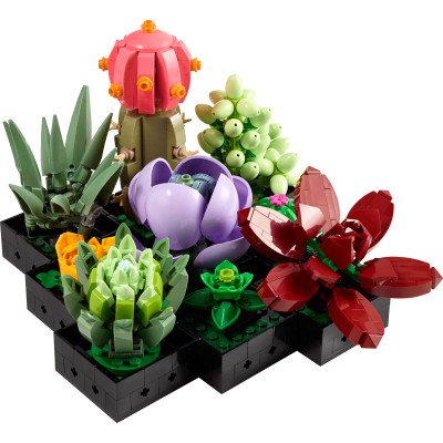 Конструктор LEGO Botanicals Суккуленты (10309-) Винница - изображение 8