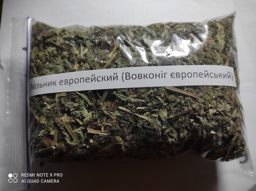 Зюзьник європейський (Зюзник европейский) 100г master sem Киев - изображение 2