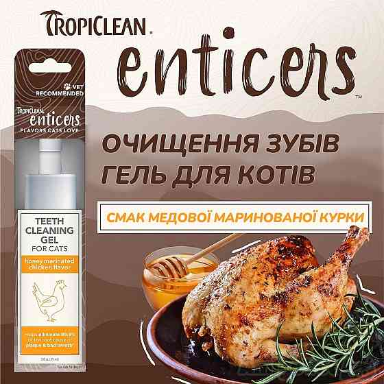 Гель для чищення зубів для котів TropiClean зі смаком маринованої курки з медом, 59 мл Київ