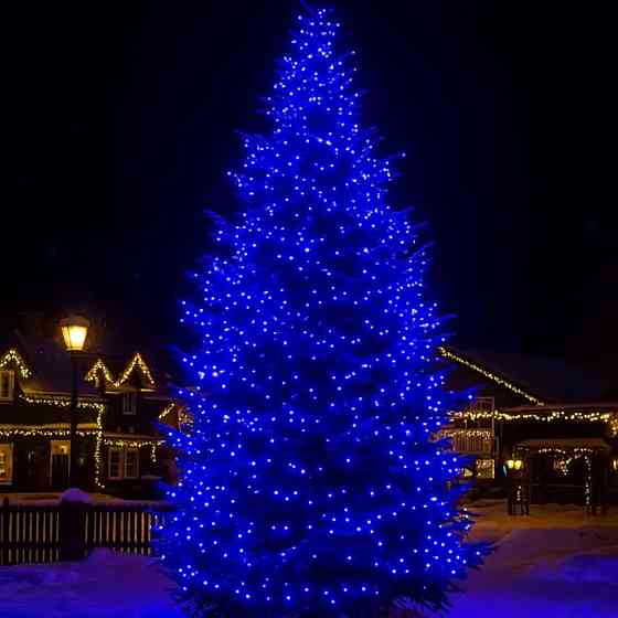 Гирлянда Різдвяна Фея 50м, 500 LED, синій провод Київ